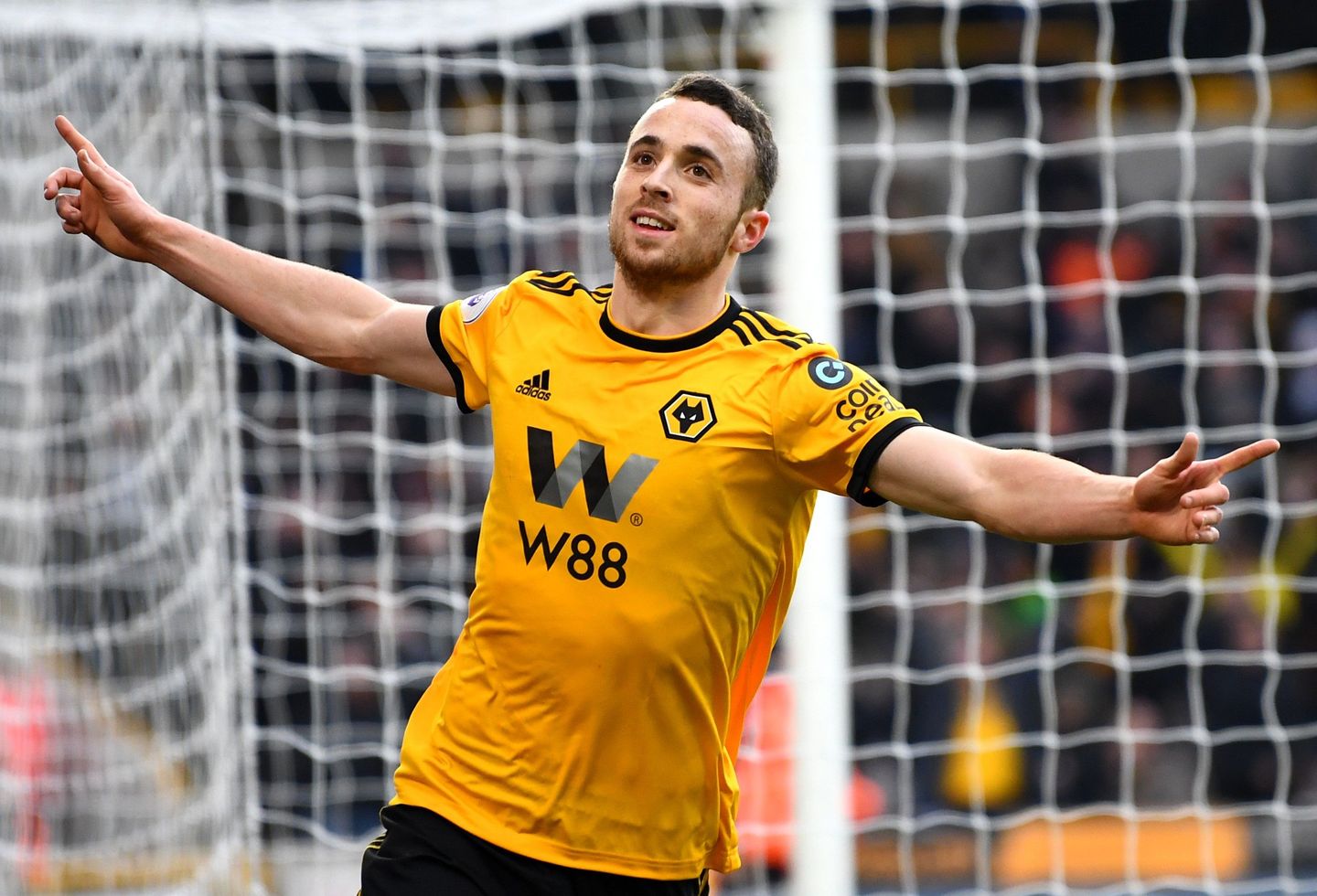 Diogo Jota, Wolves