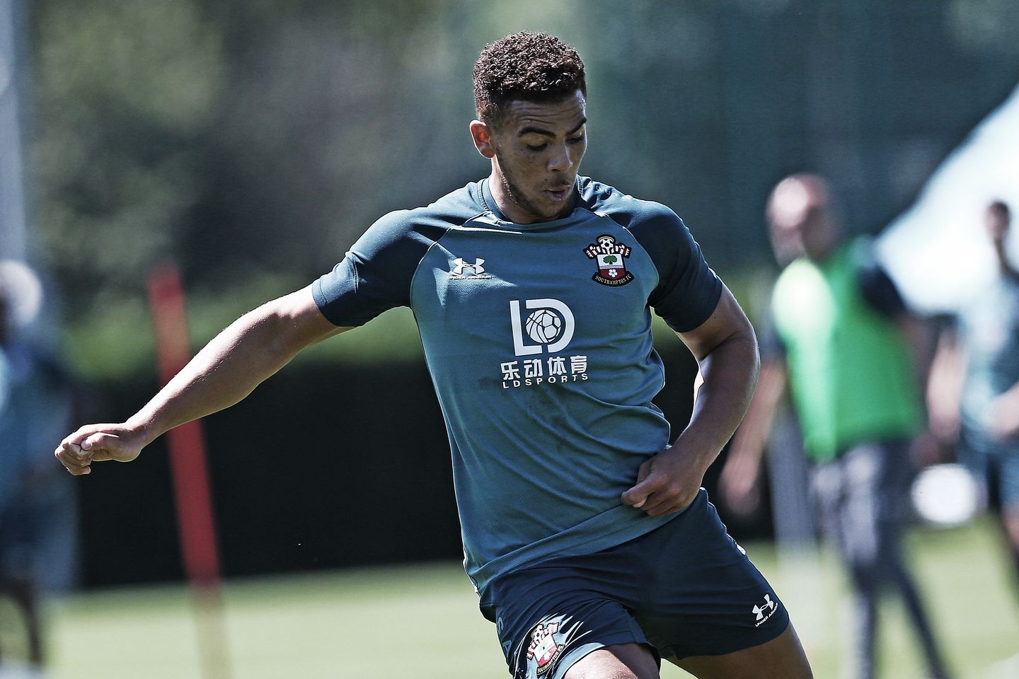 Che Adams, Southampton