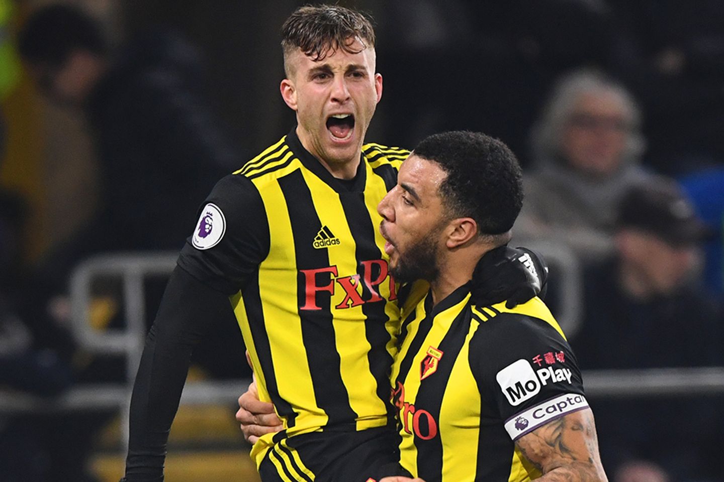 Gerard Deulofeu, Watford