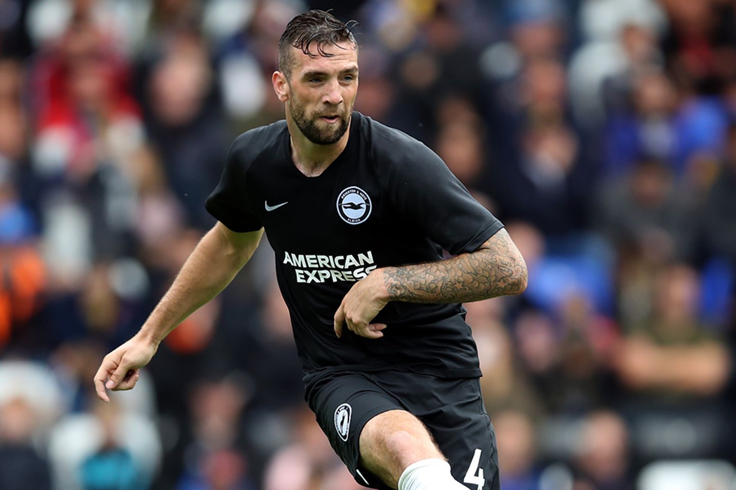 Shane Duffy, Brighton & Hove Albion