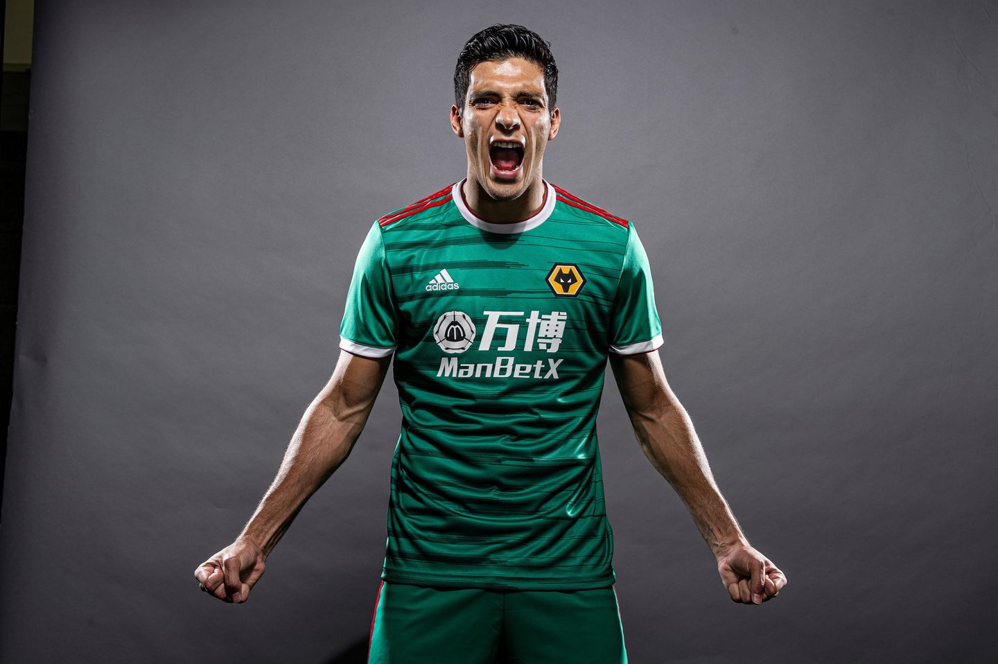 Raul Jimenez wears Wolves' 2019/20 third kit