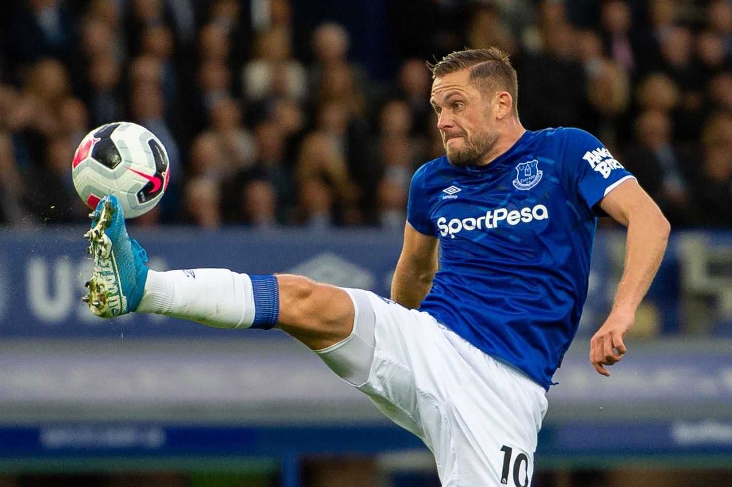 Gylfi Sigurdsson