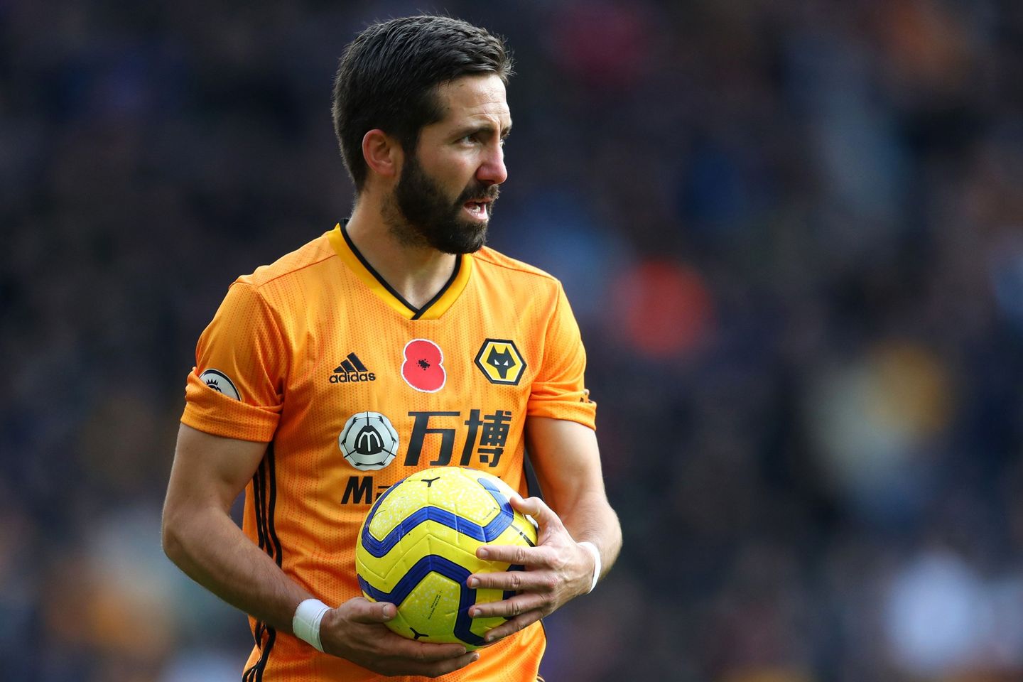 Joao Moutinho, Wolves