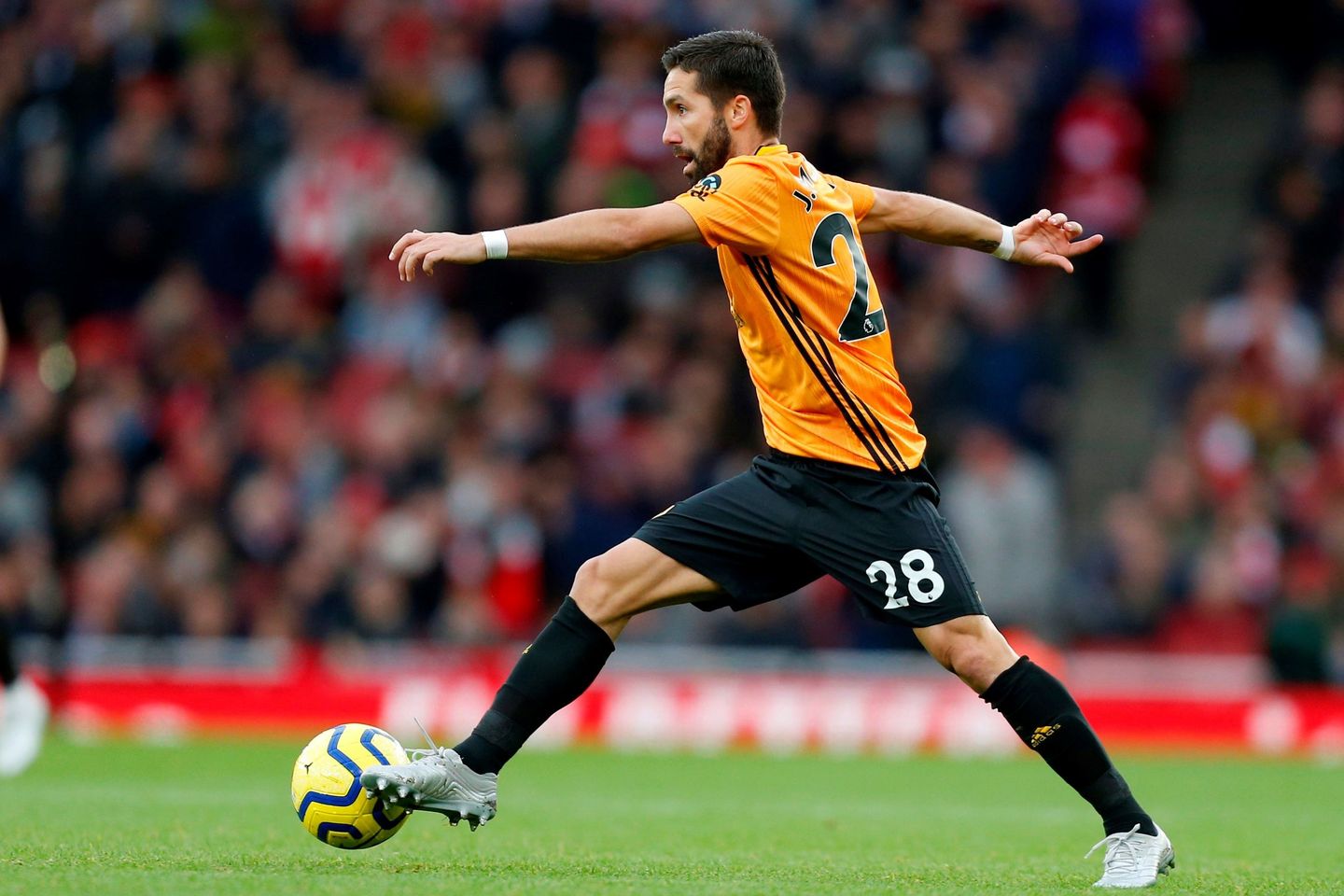 Joao Moutinho, Wolves