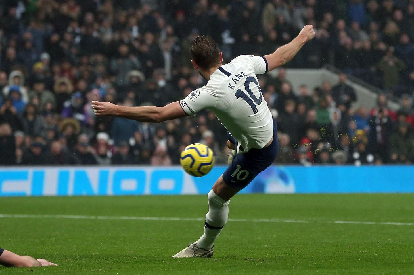 Tottenham Hotspur v Brighton & Hove Albion