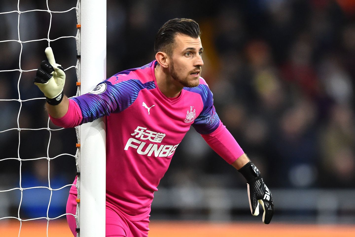 Martin Dubravka, Newcastle