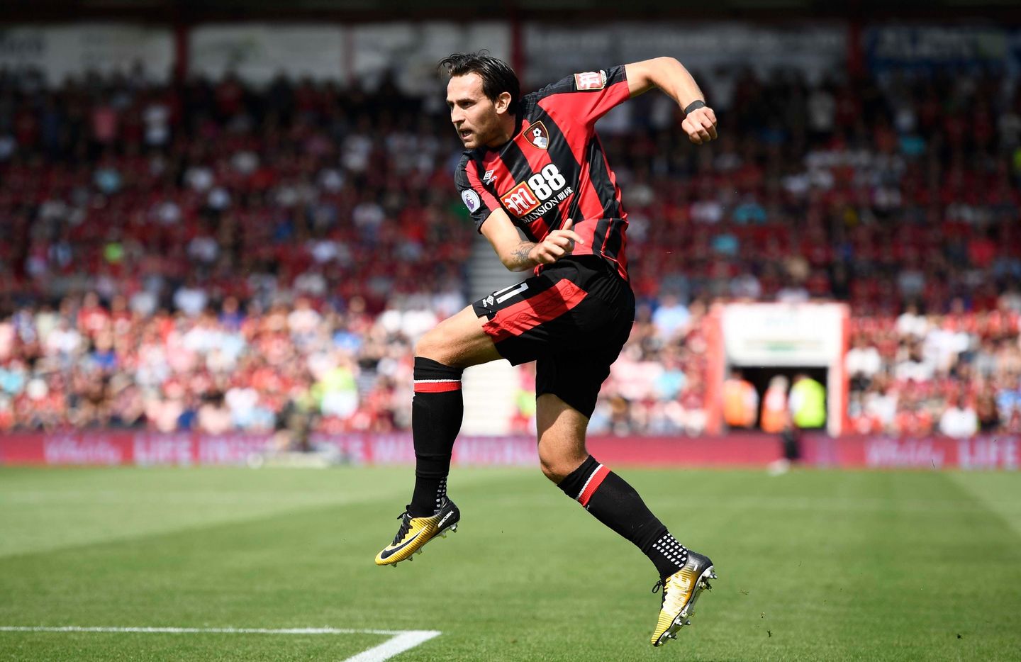 Charlie Daniels, AFC Bournemouth