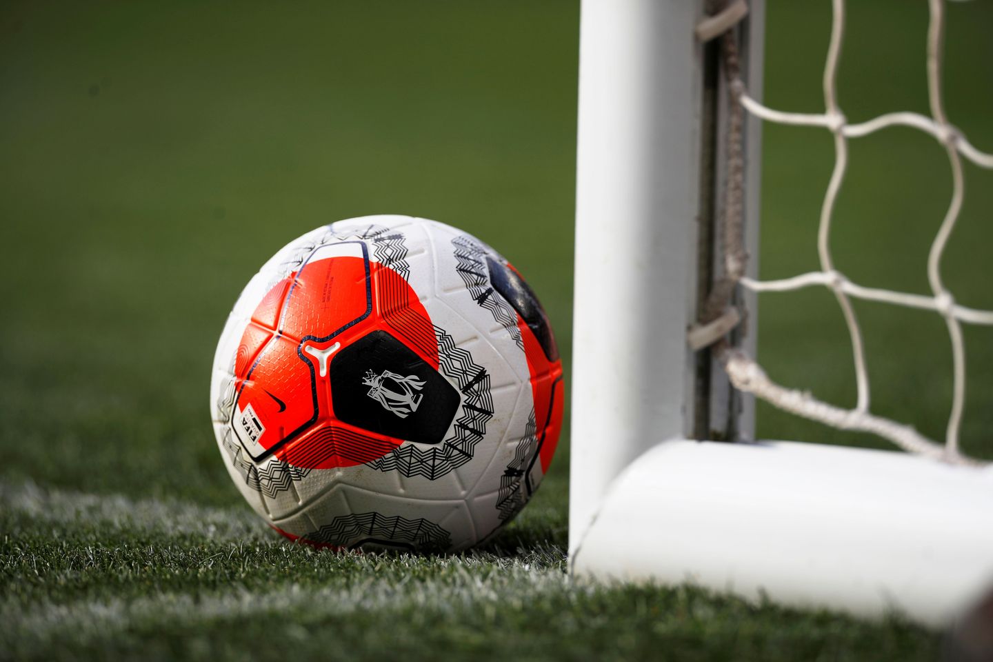 PL ball Merlin training post