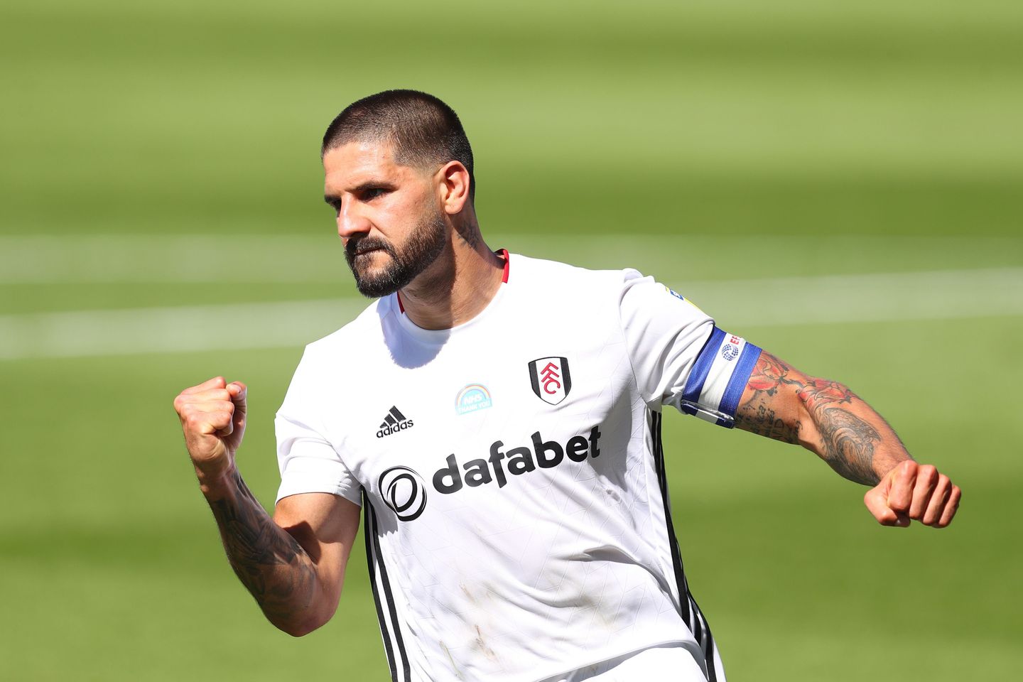 Aleksandar Mitrovic, Fulham