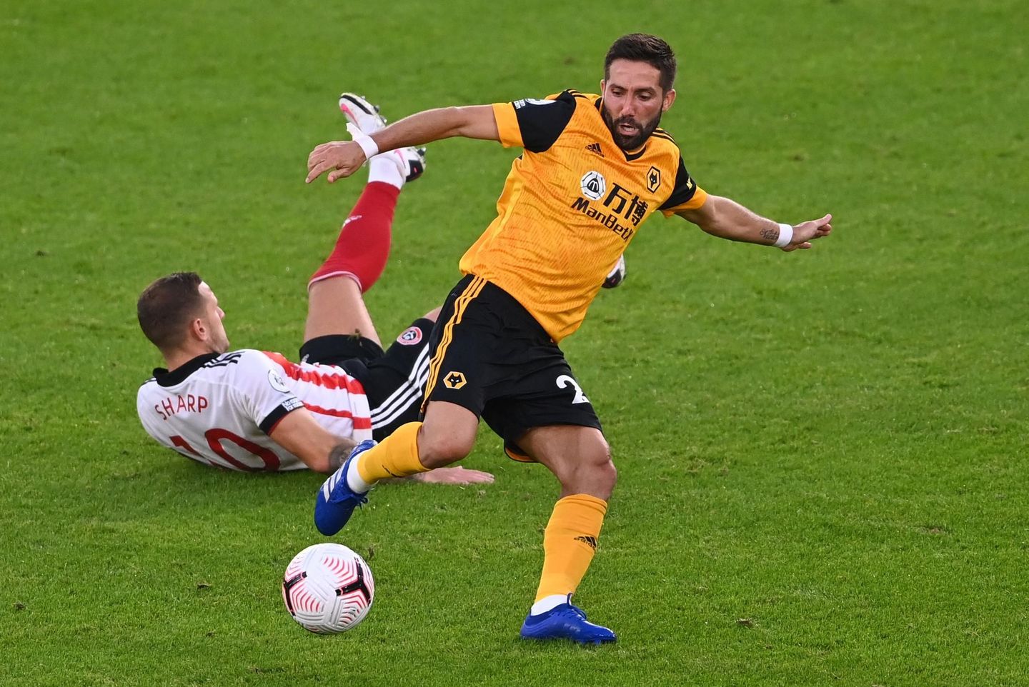 Joao Moutinho, Wolverhampton Wanderers
