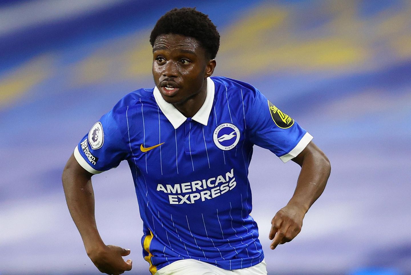 Tariq Lamptey, Brighton