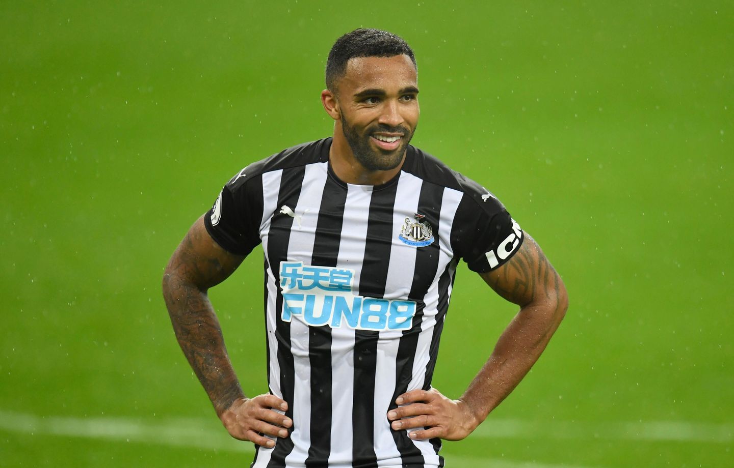 Callum Wilson, Newcastle