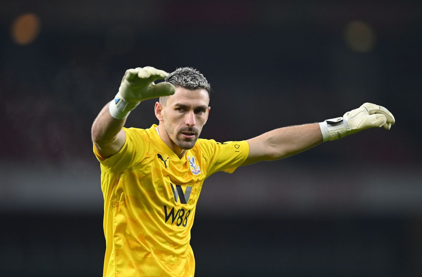 Arsenal v Crystal Palace