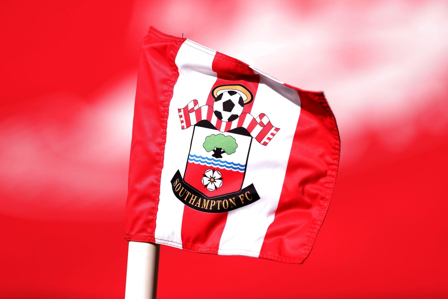 Southampton flag