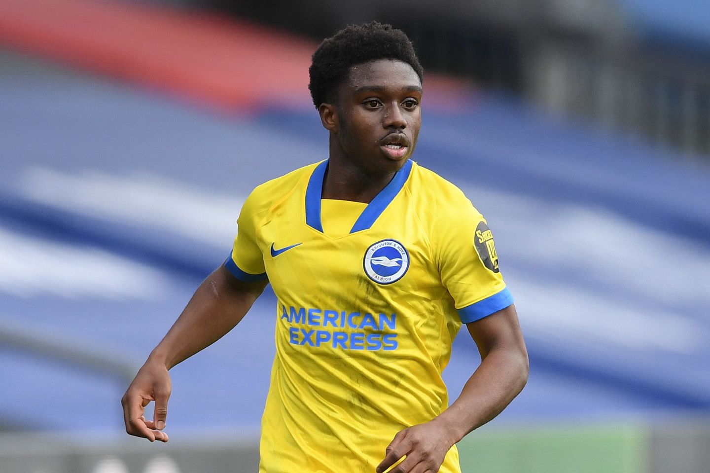 Tariq Lamptey, Brighton