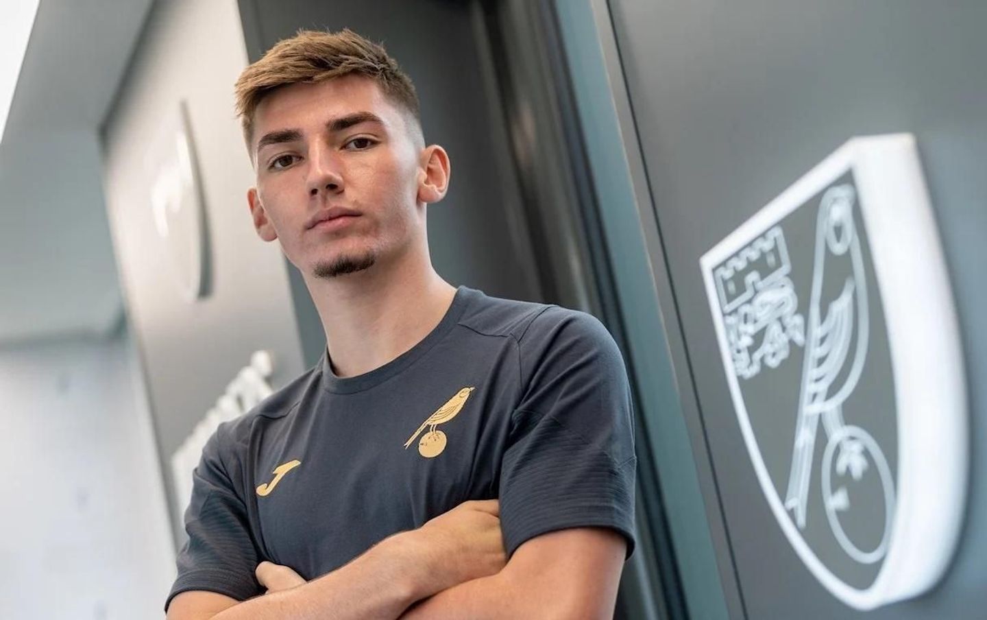 Billy Gilmour, Norwich