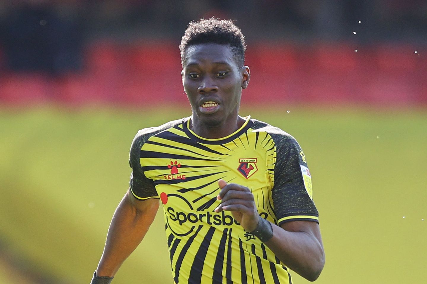 Ismaila Sarr, Watford