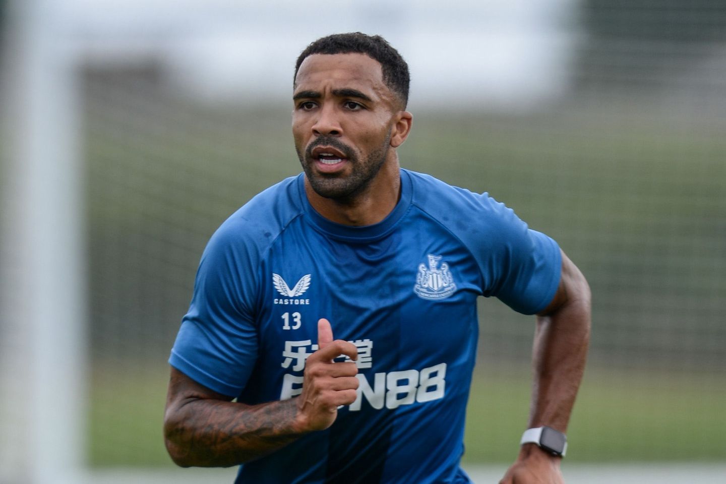 Callum Wilson, Newcastle