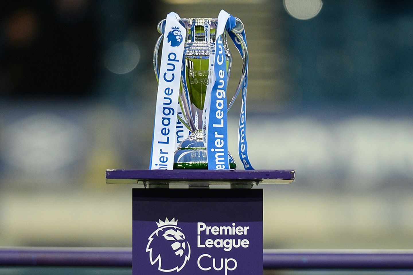 Premier League Cup Trophy