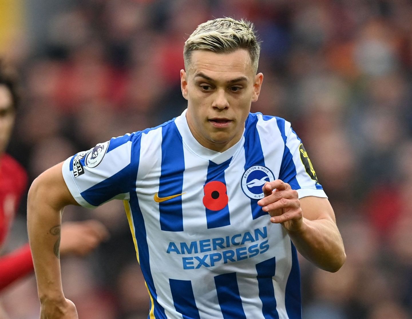 Leandro Trossard, Brighton
