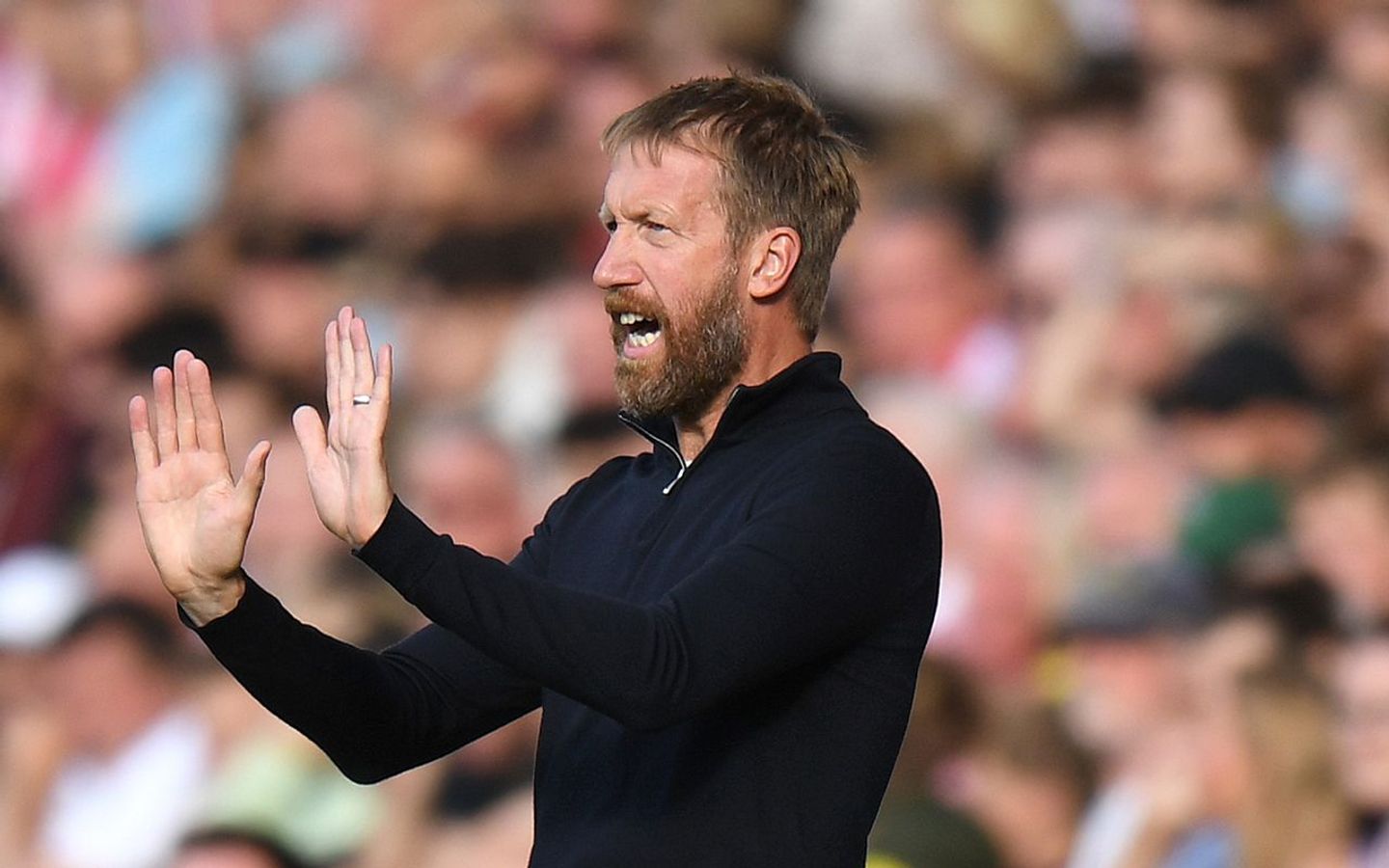 Graham Potter, Brighton