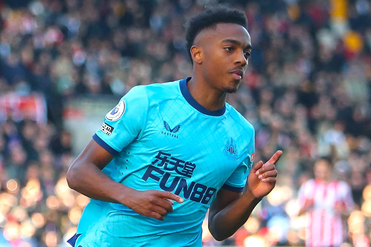 Joe Willock, Newcastle