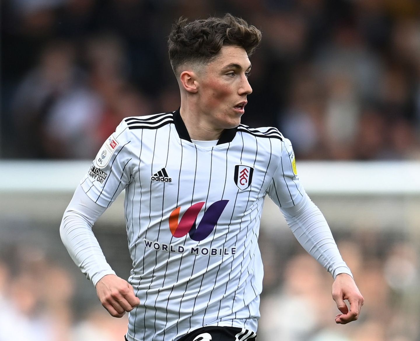 Harry Wilson, Fulham
