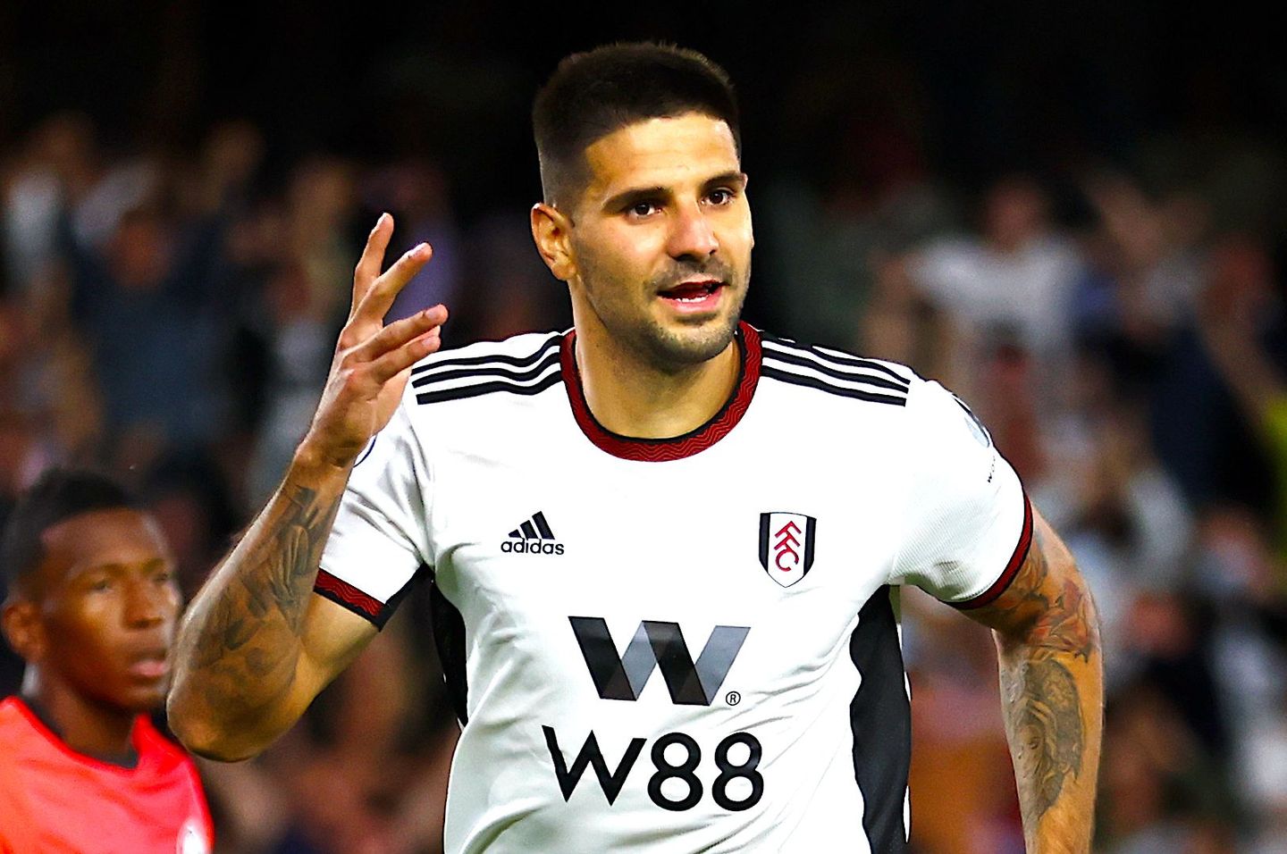 Aleksandar Mitrovic, Fulham