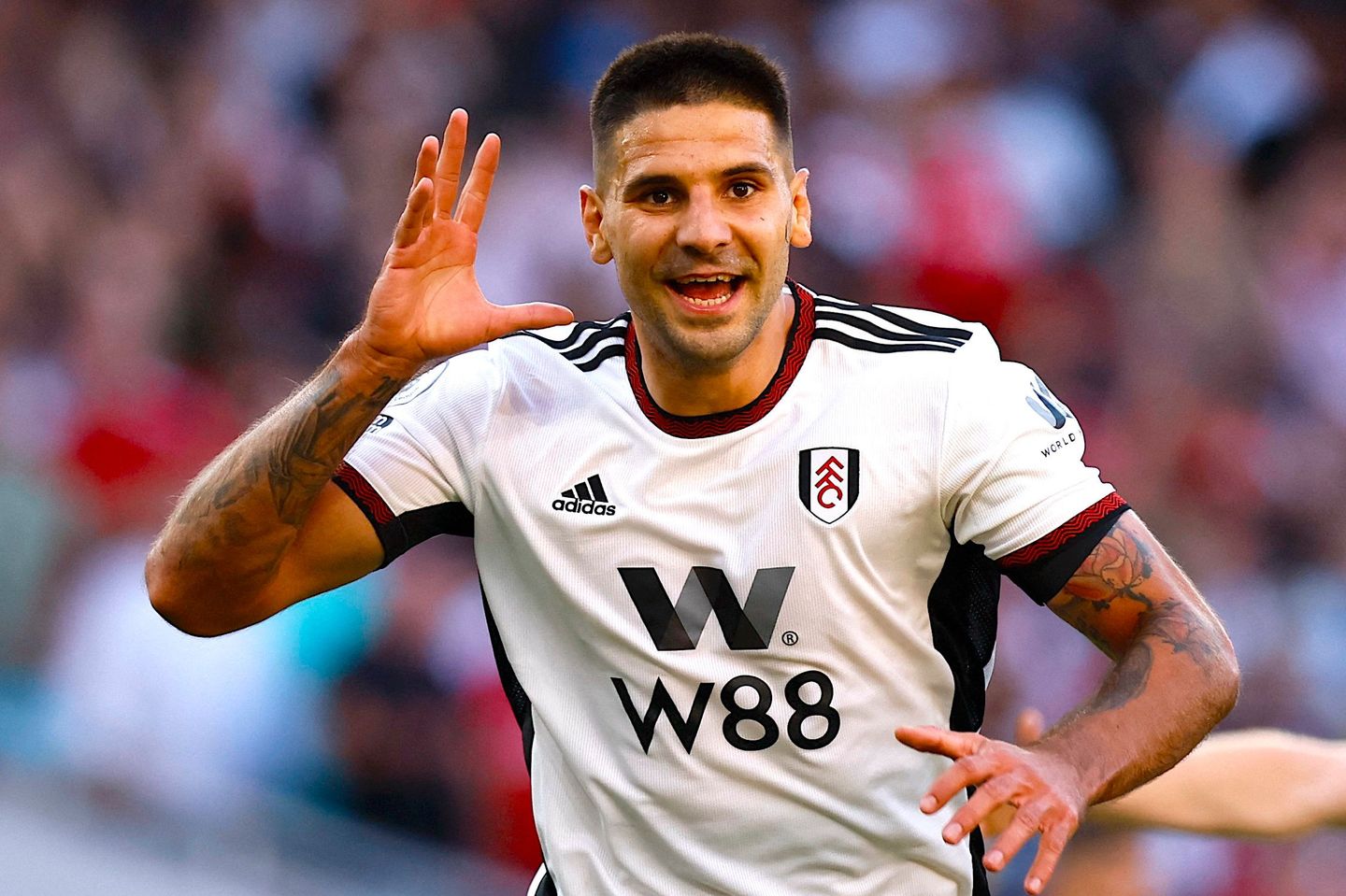 Aleksandar Mitrovic, Fulham
