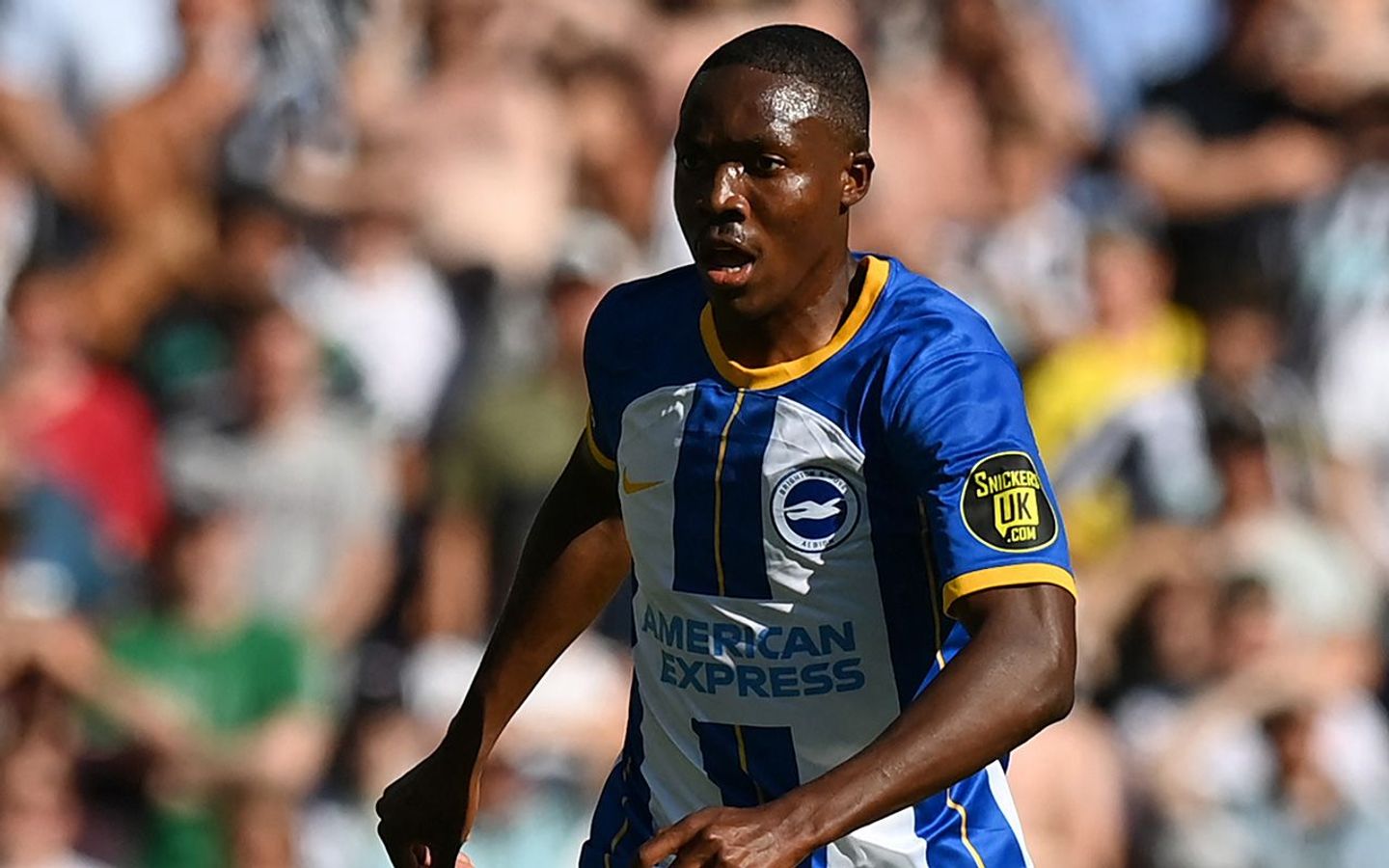 Enock Mwepu, Brighton