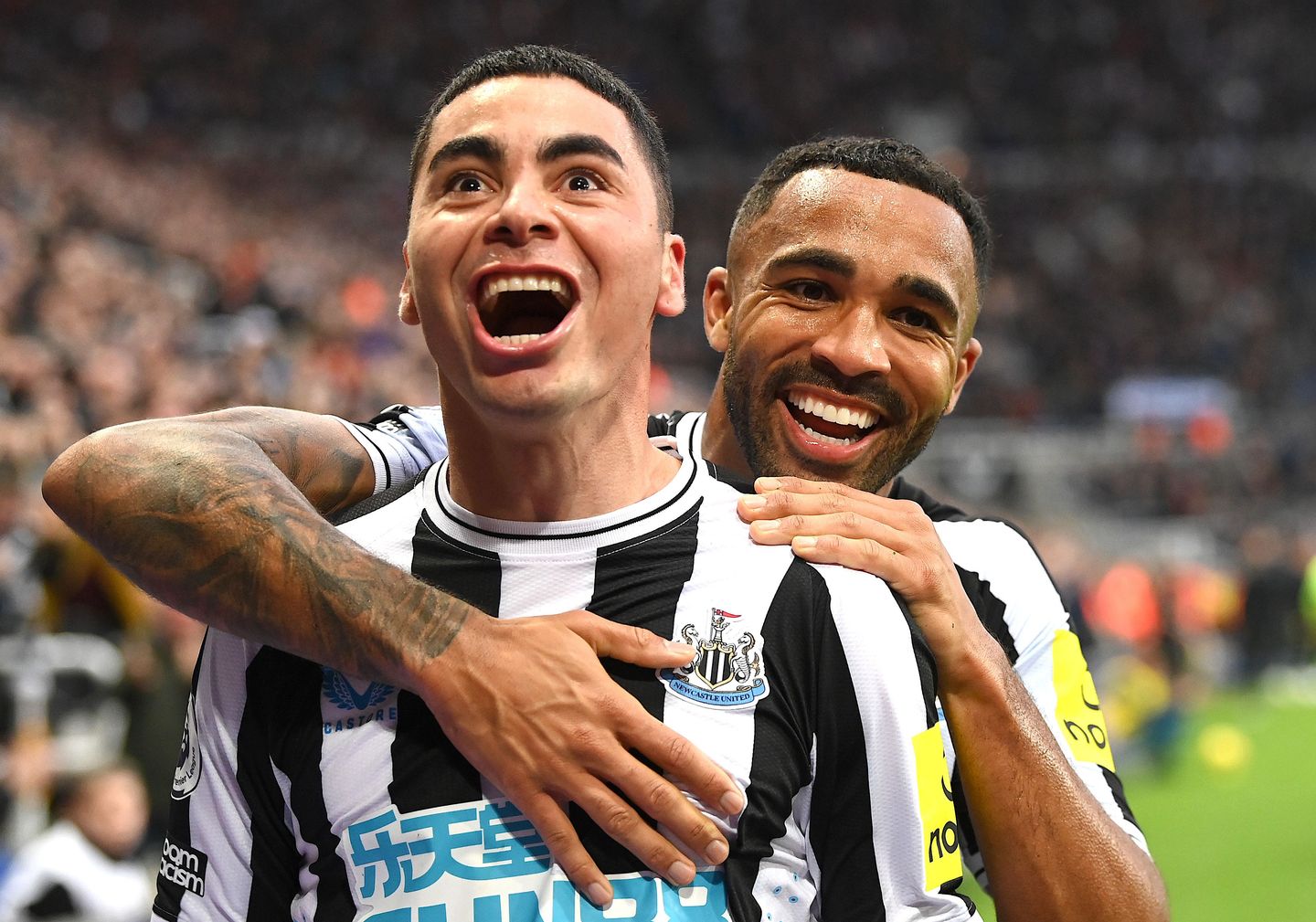Almiron and Wilson, Newcastle