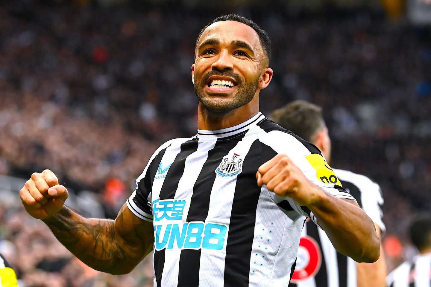 Callum Wilson, Newcastle