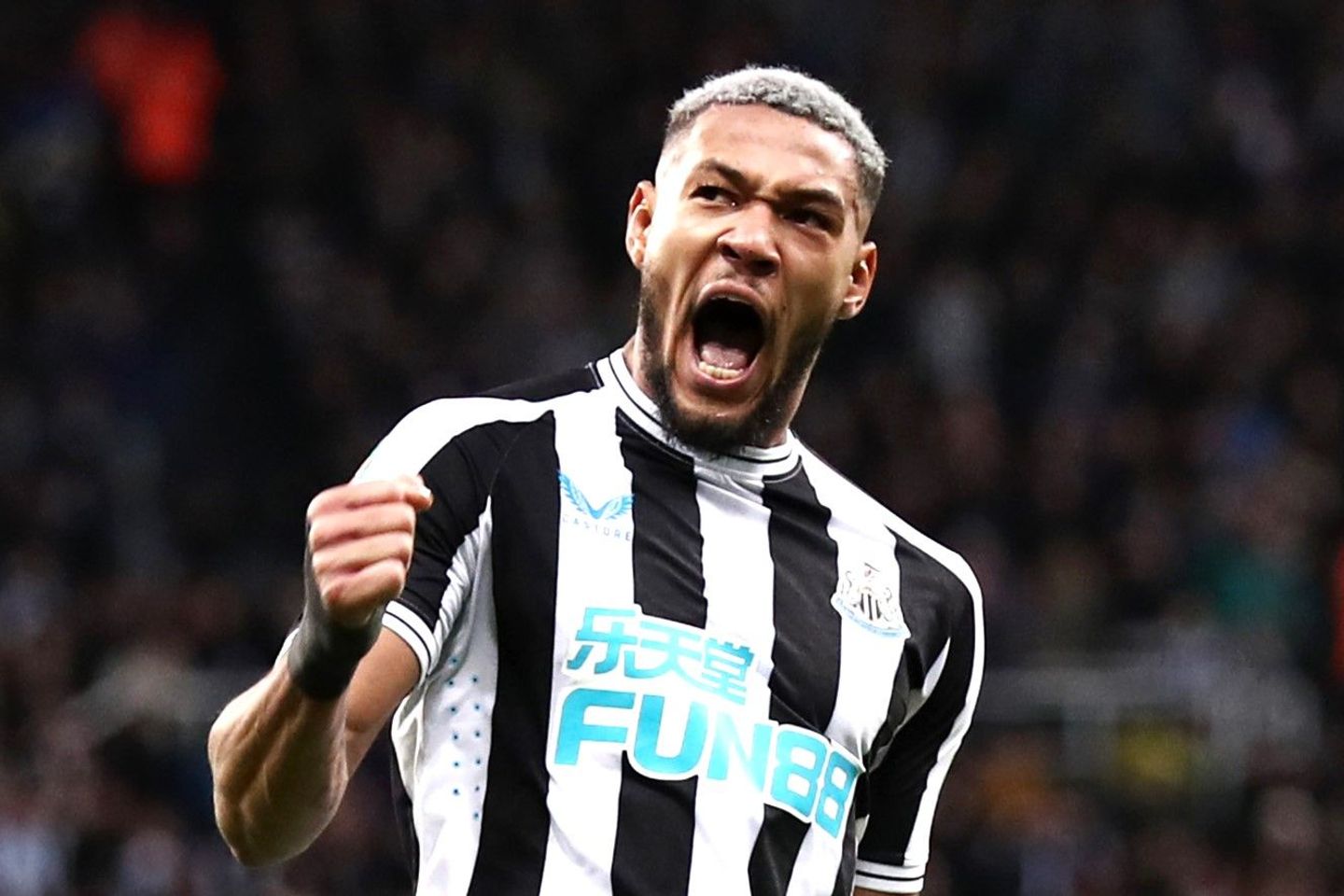 Joelinton Khẳng Định Vai Trò Đa Năng - Biến Đổi Lối Chơi Của Newcastle Joelinton Khẳng Định Vai Trò Đa Năng - Biến Đổi Lối Chơi Của Newcastle