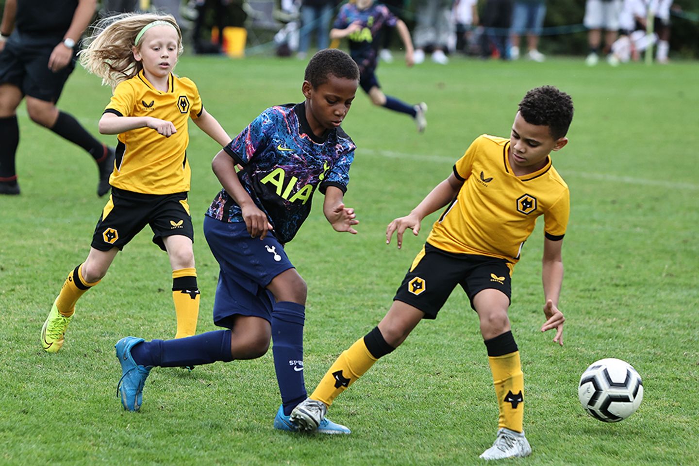 Elite Player Performance Plan - Talent ID