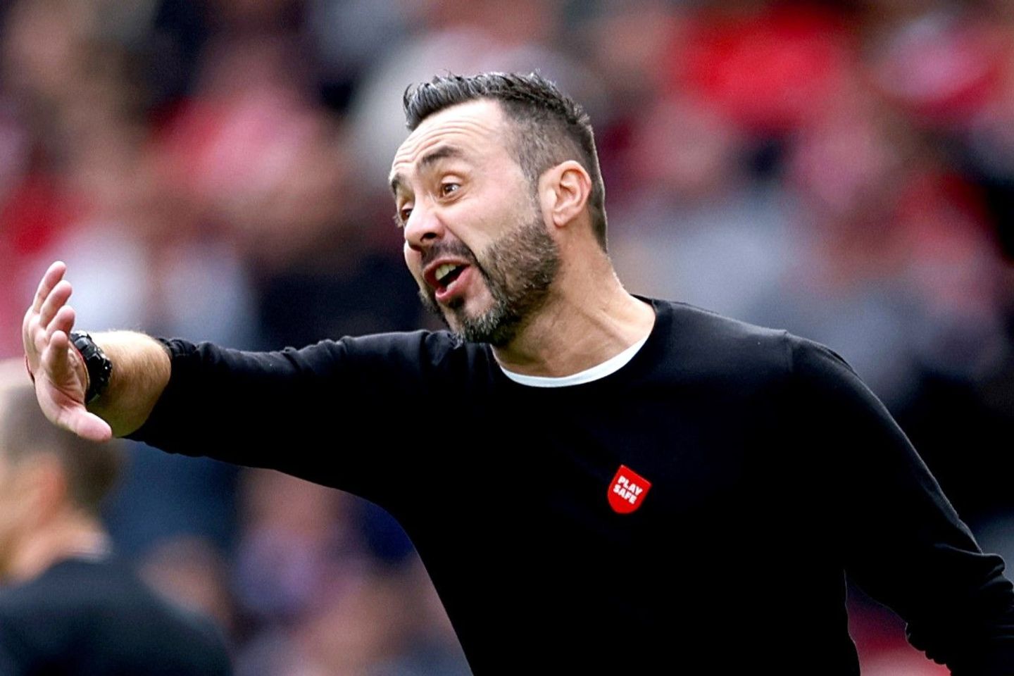 Roberto De Zerbi, Brighton