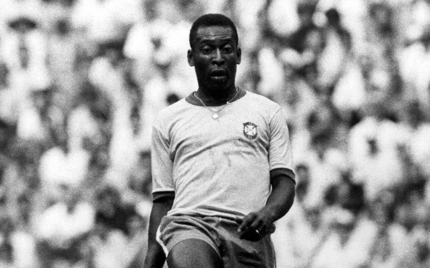 Pele