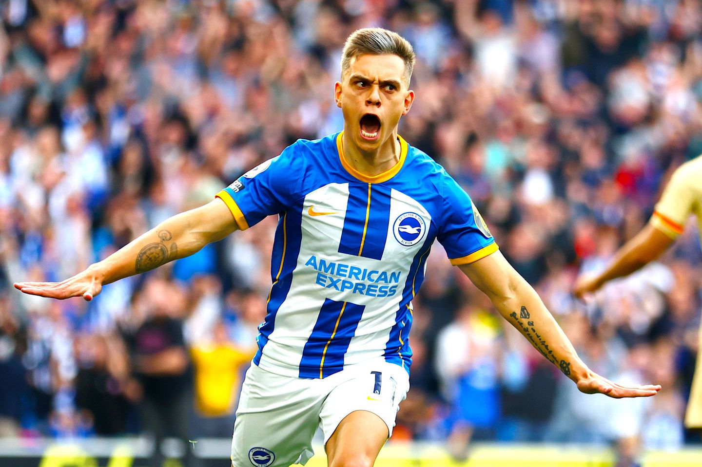 Leandro Trossard, Brighton