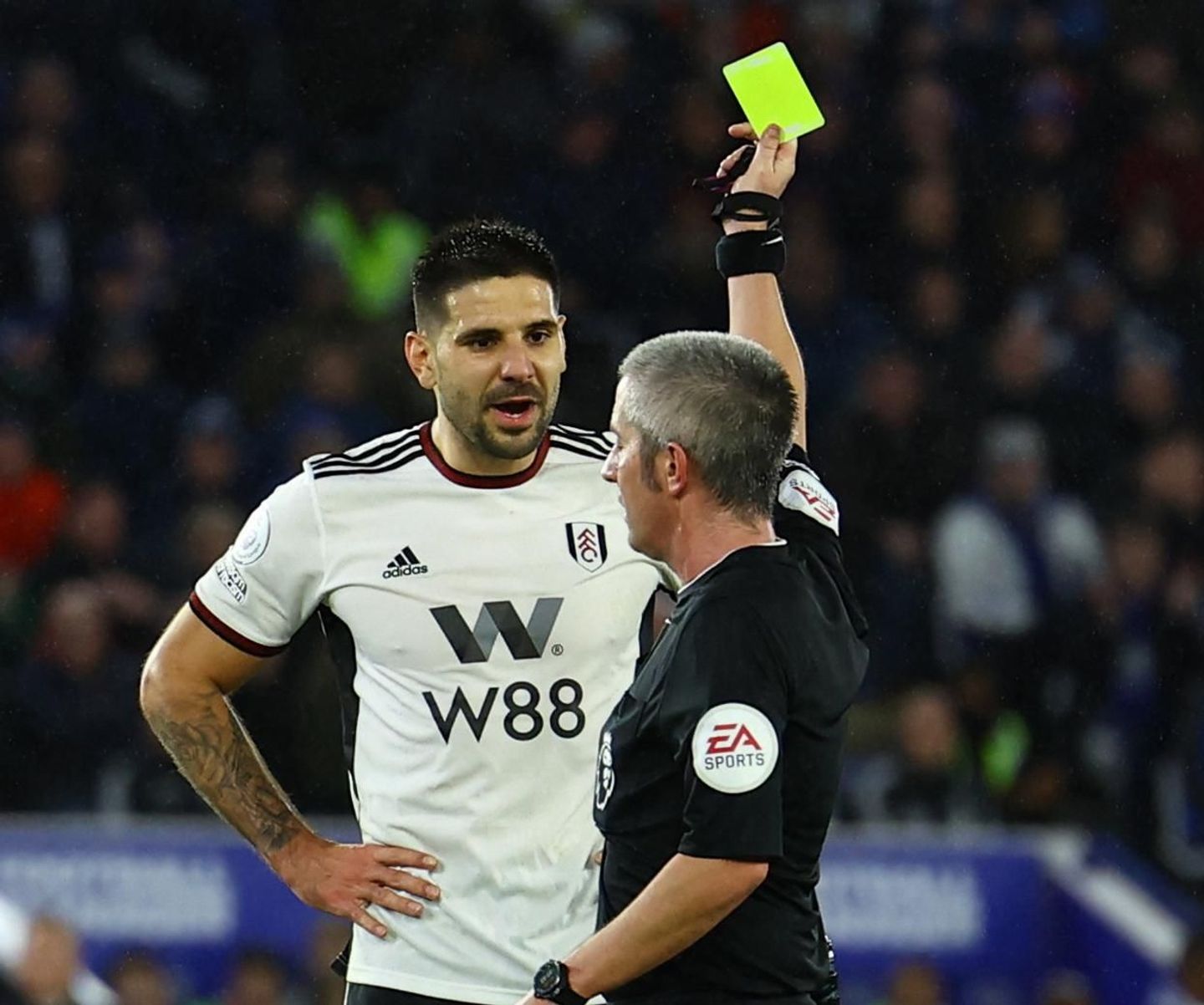 Aleksandar Mitrovic, Fulham