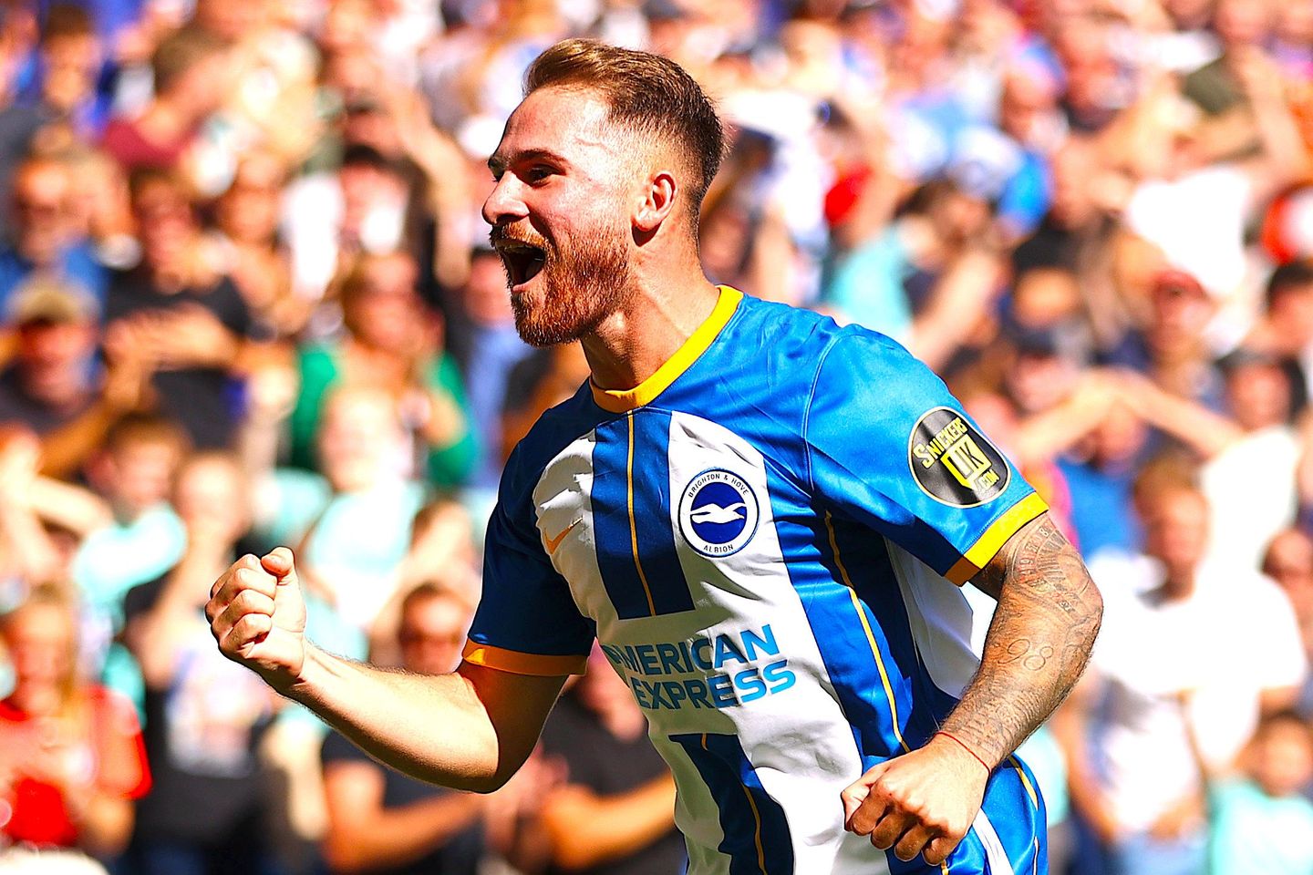 Alexis Mac Allister, Brighton