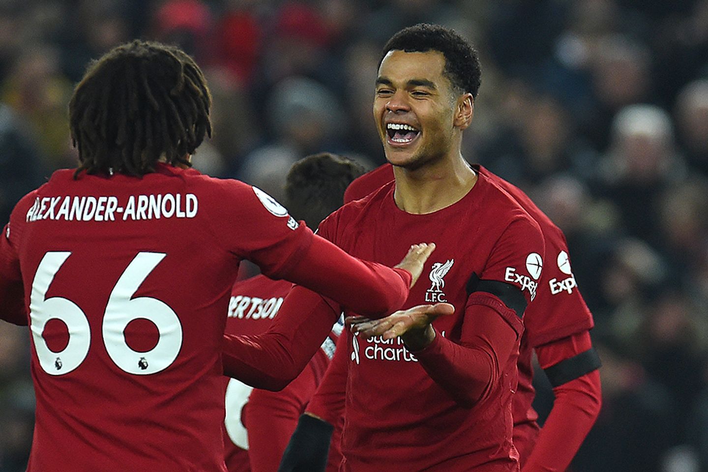 Cody Gakpo, Liverpool