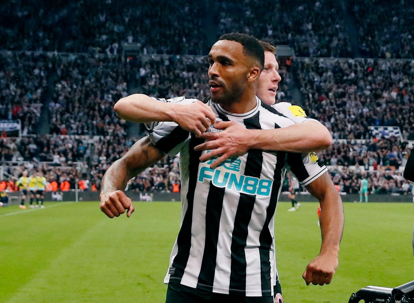 Newcastle United v Brighton & Hove Albion