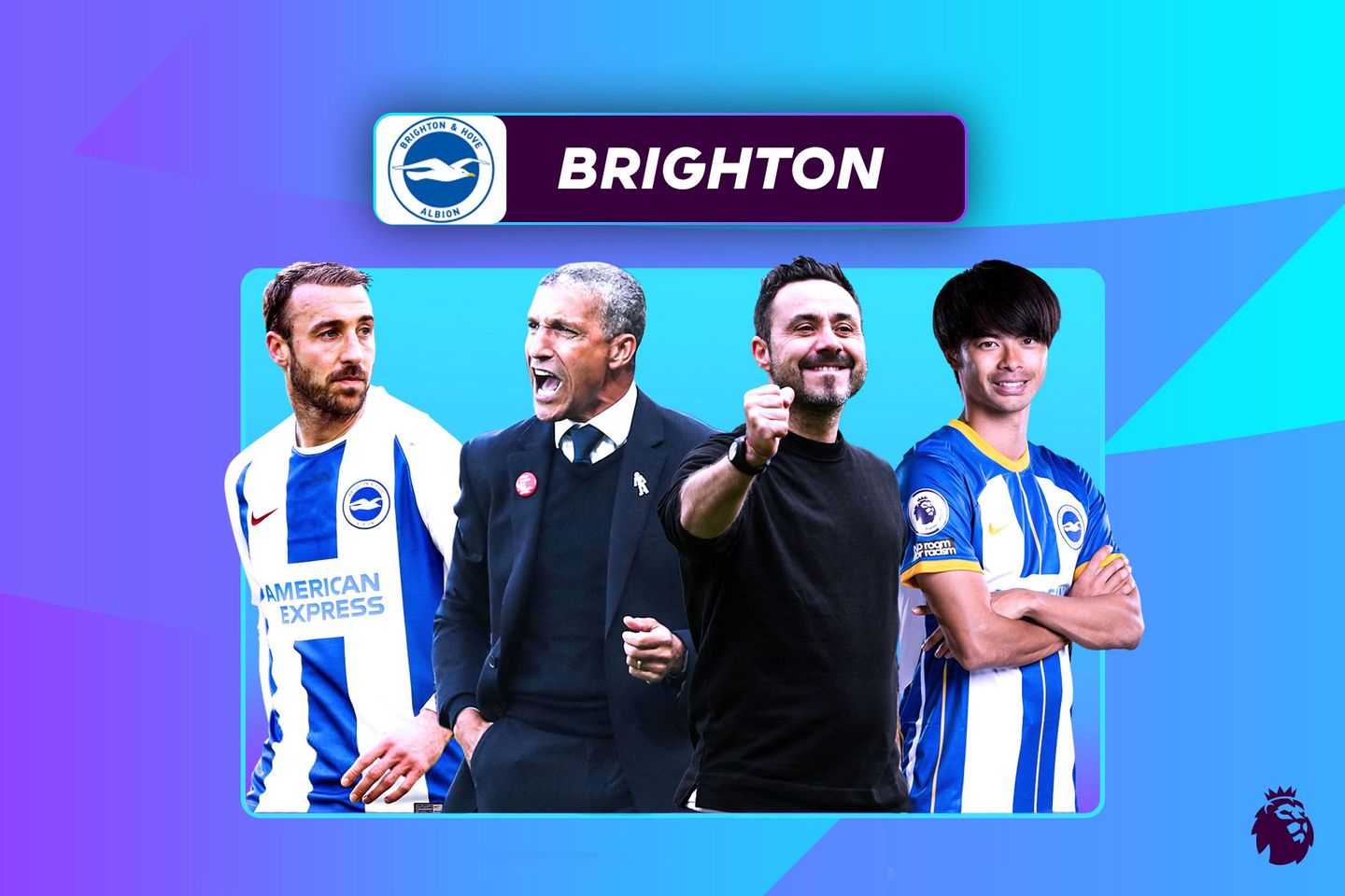 BRIGHTON-LEAD-IMAGE