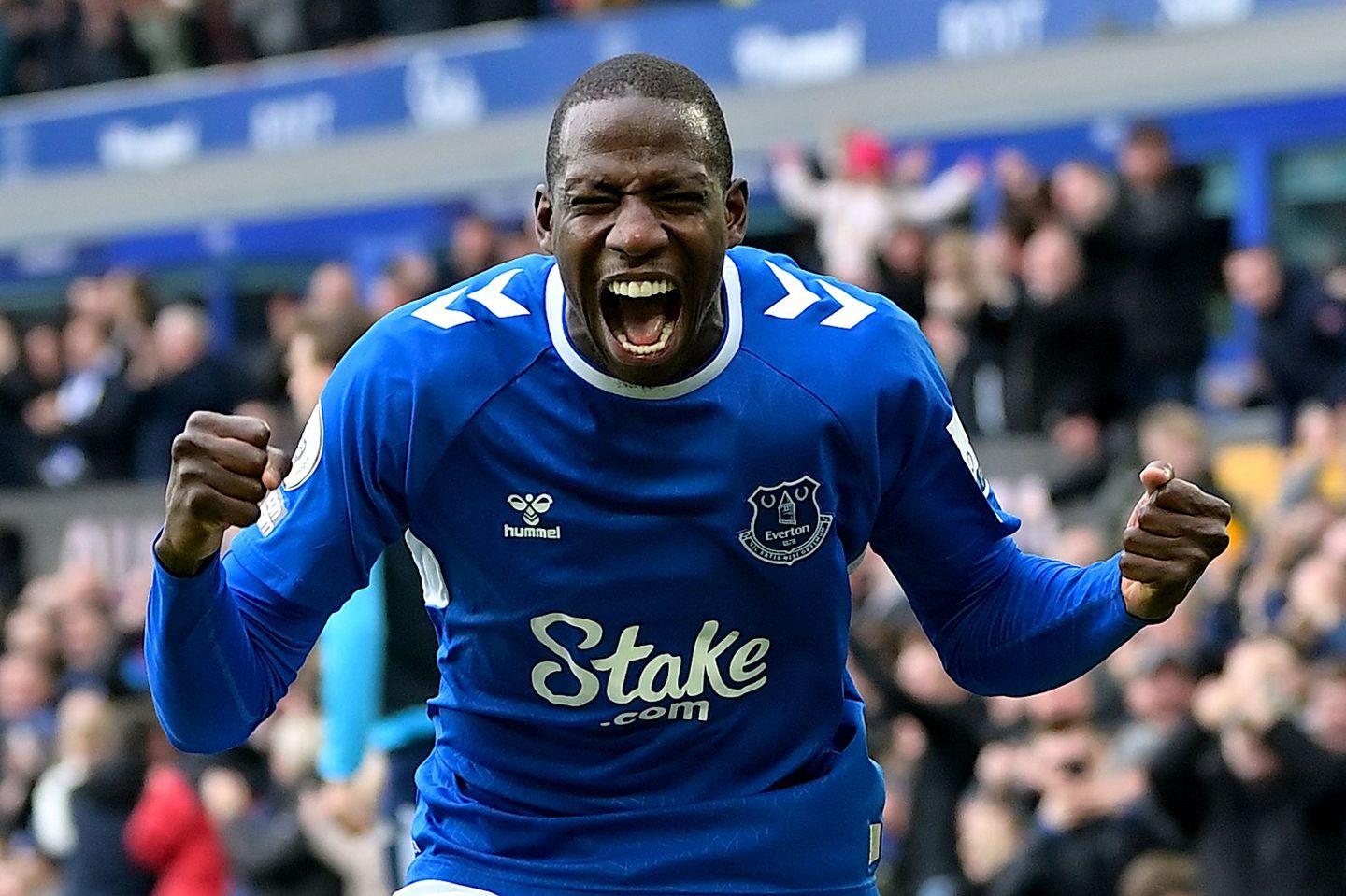 Abdoulaye Doucoure, Everton