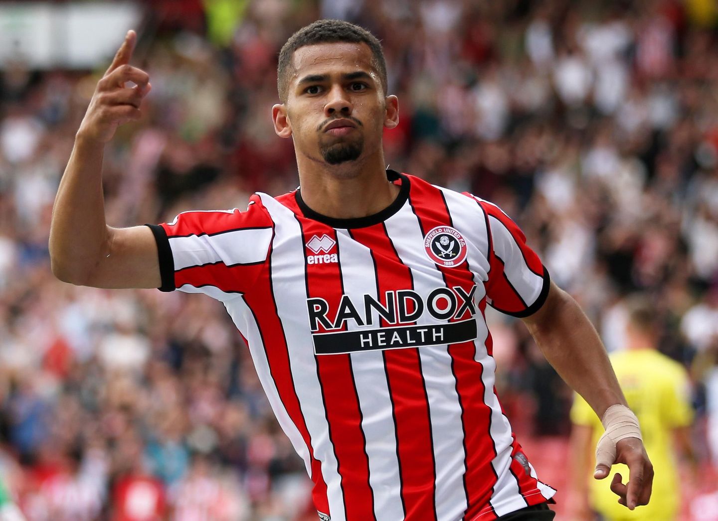 Iliman Ndiaye, Sheff Utd