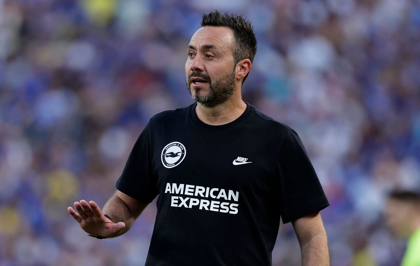 Roberto De Zerbi, Brighton