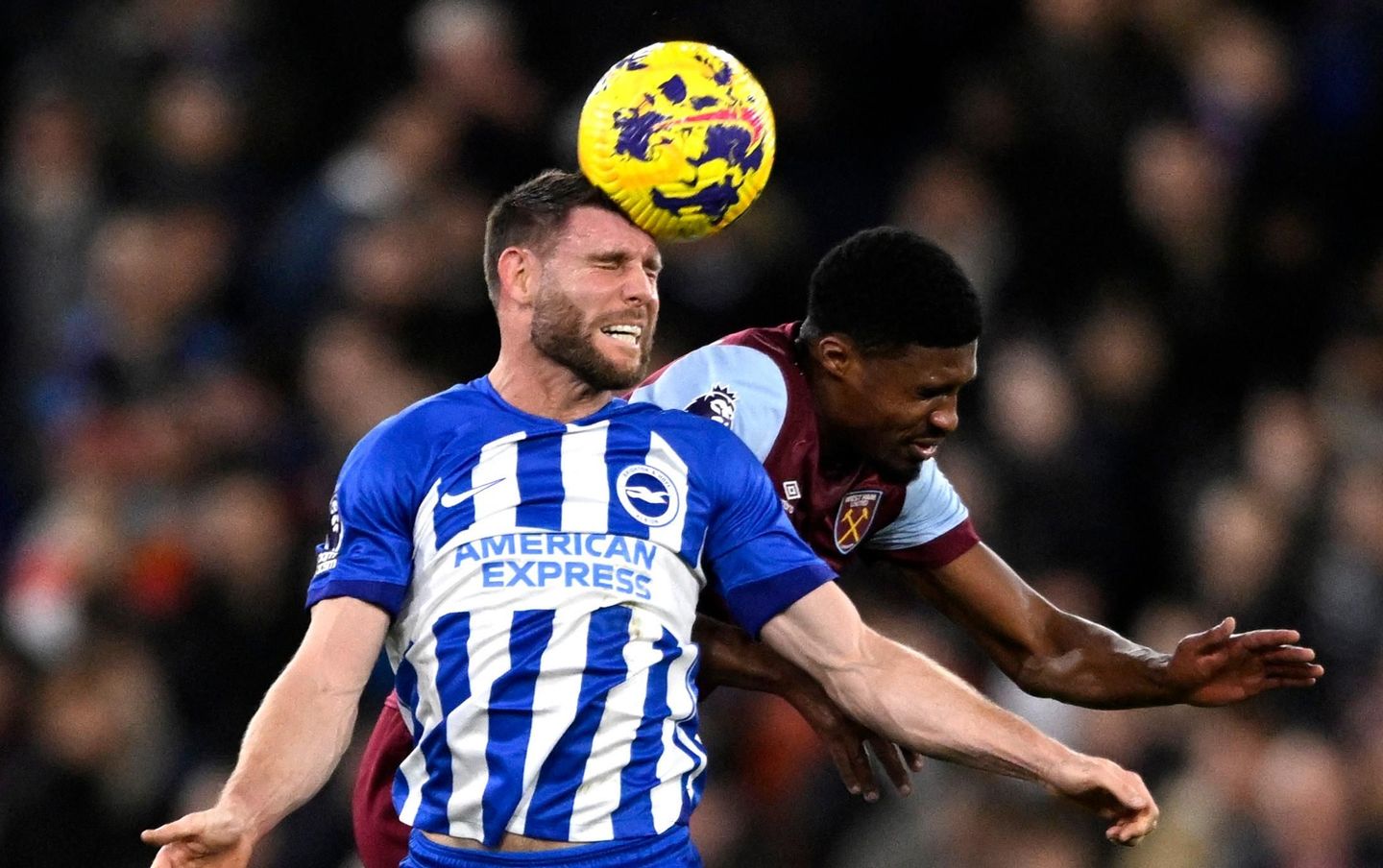James Milner, Brighton