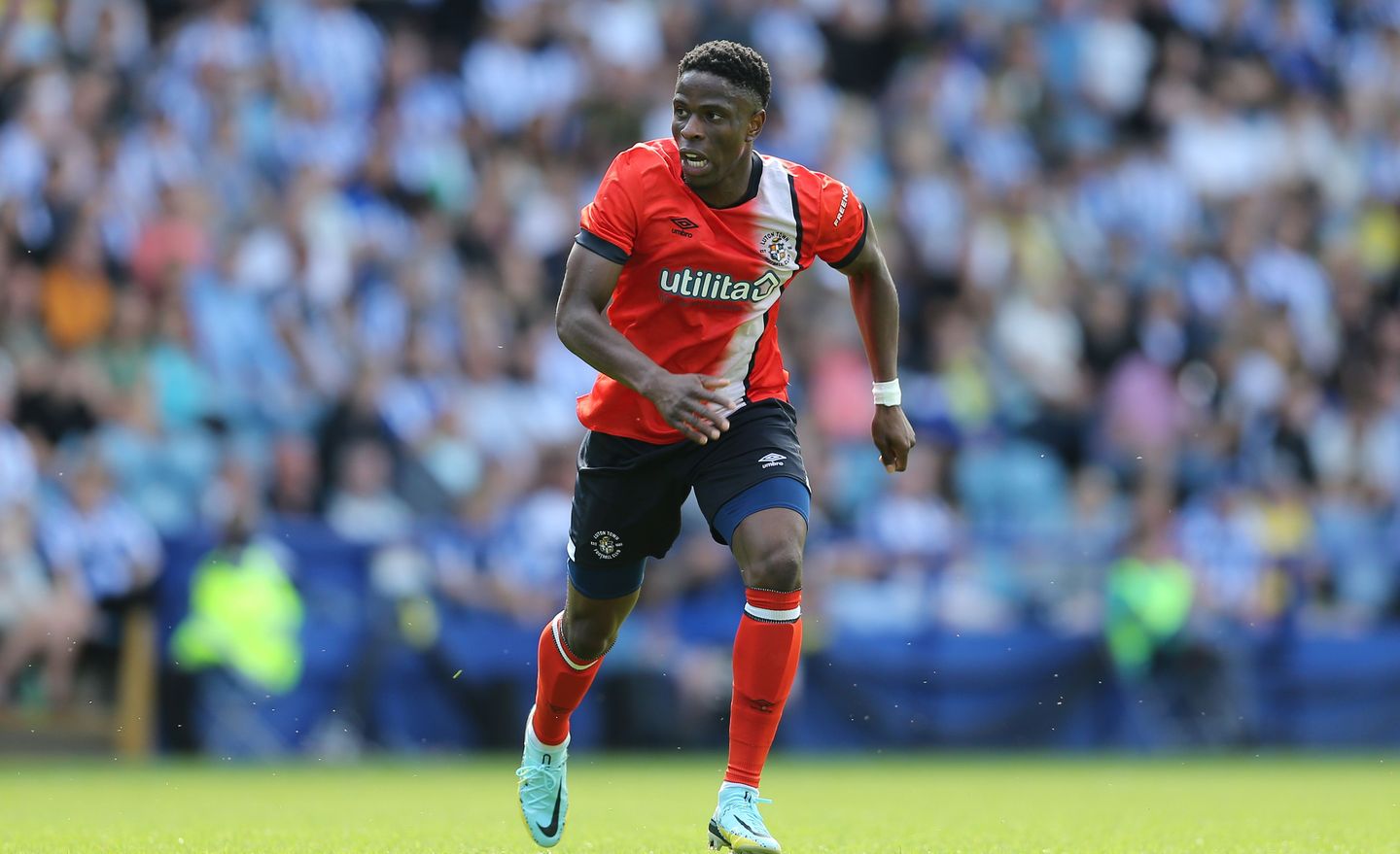 Chiedozie Ogbene, Luton