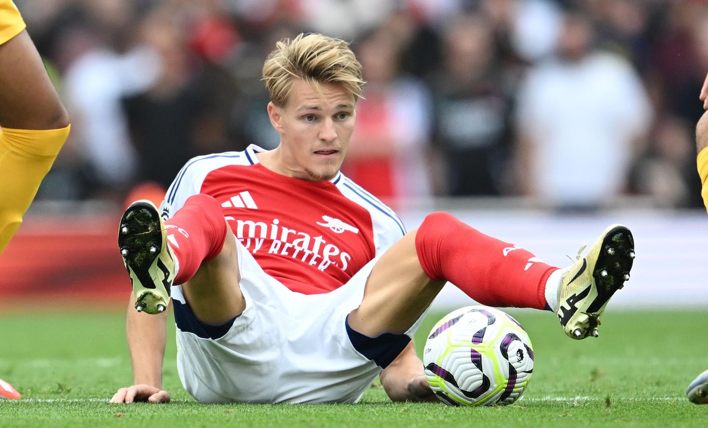 Arsenal FC v Brighton & Hove Albion FC - Premier League