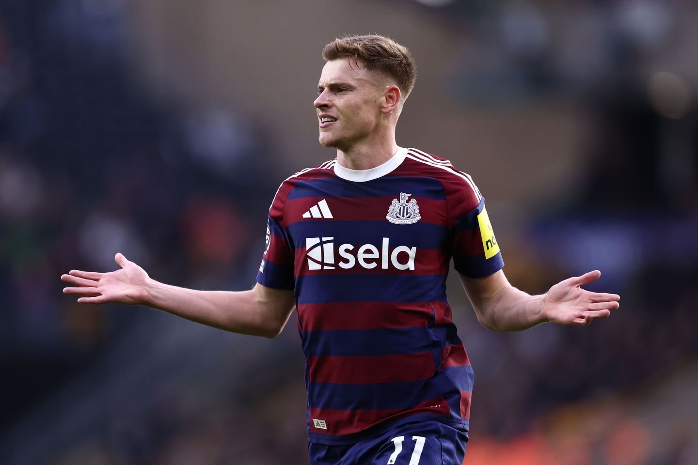 Wolverhampton Wanderers FC v Newcastle United FC - Premier League