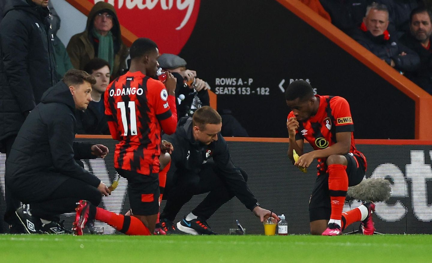 Premier League - AFC Bournemouth v Brighton & Hove Albion